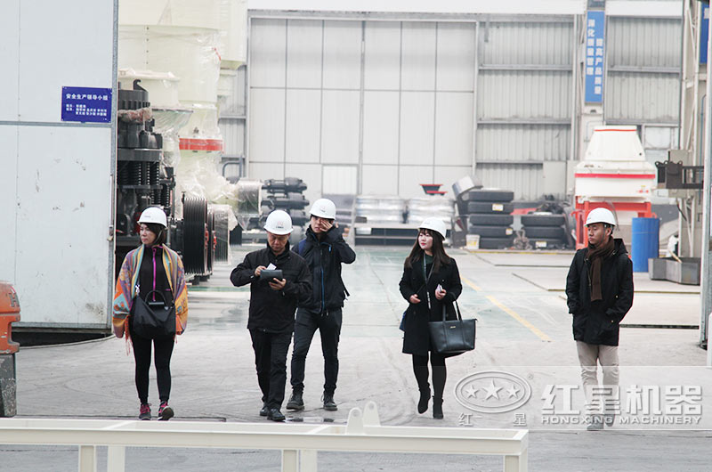 客戶到紅星廠區(qū)進(jìn)行參觀，并咨詢